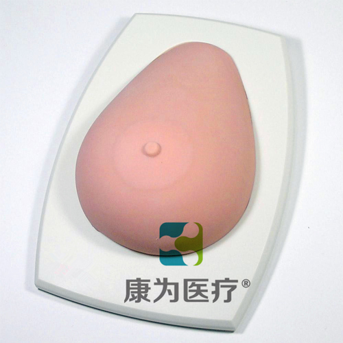 “康為醫療”高級乳腺檢查訓練模型