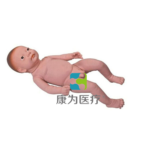 “康為醫療”高級足月胎兒模型（男嬰、女嬰任選）