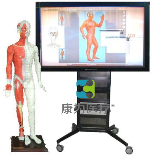 “康為醫療”42寸多媒體人體針炙穴位交互數字平臺