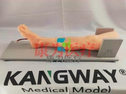 “康為醫療”成人脛骨穿刺操作訓練模型