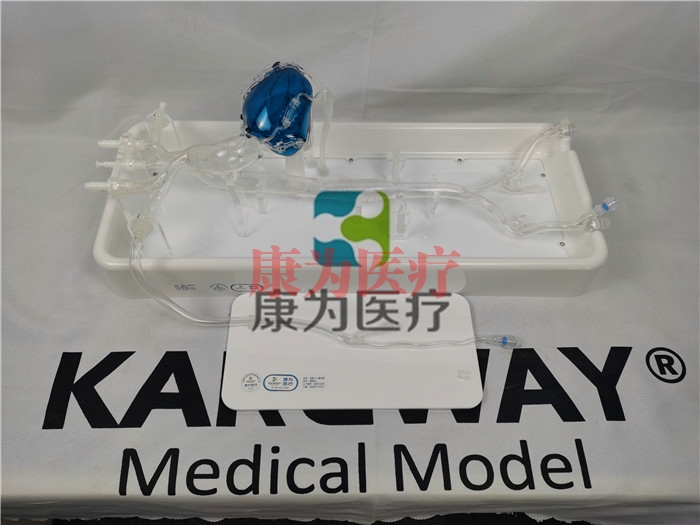 克拉瑪依IM8231冠脈微創手術介入模擬訓練模型系統